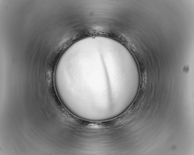 X0000090500699200708102241