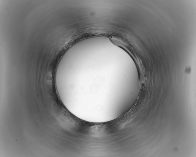 X0000090500700200708102241