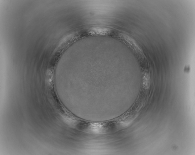 X0000090500701200708102241
