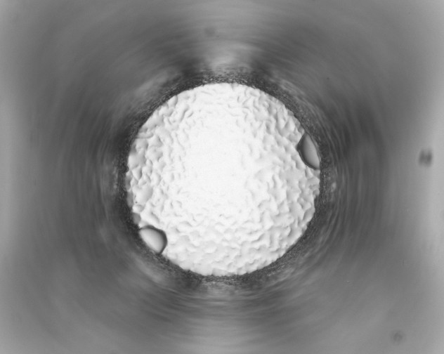 X0000090500703200708102241