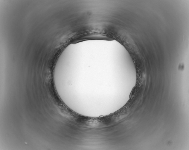 X0000090500704200708102241