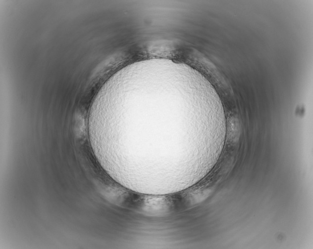 X0000090500705200708102241