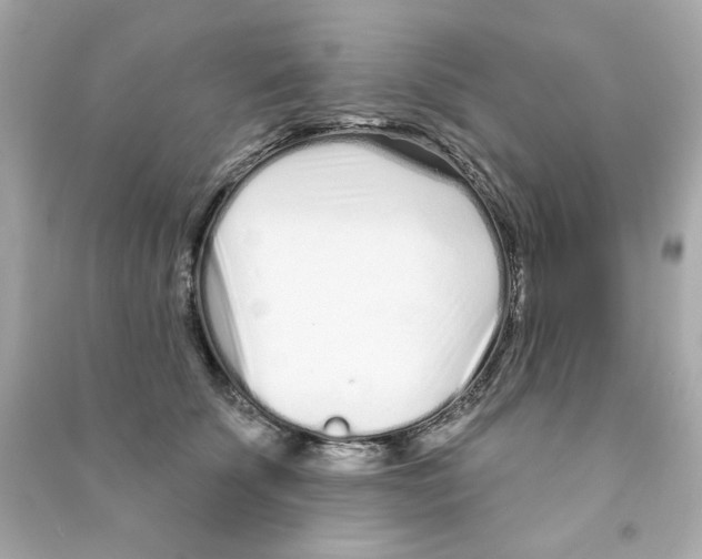 X0000090500707200708102241