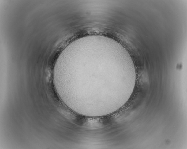 X0000090500709200708102241