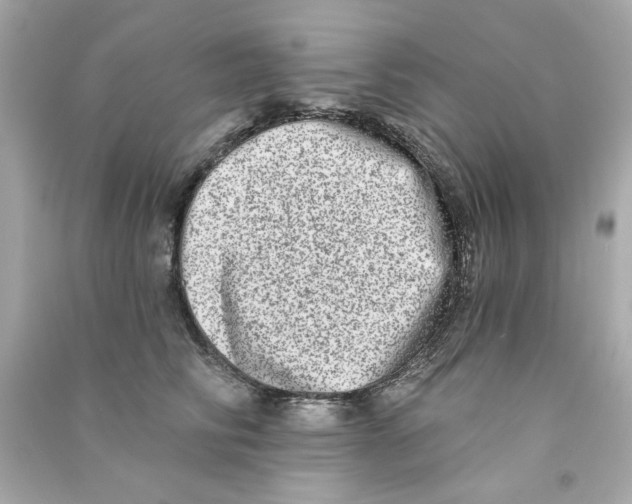 X0000090500710200708102241