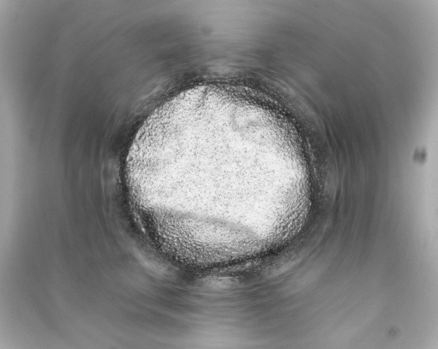 X0000090500711200708102241