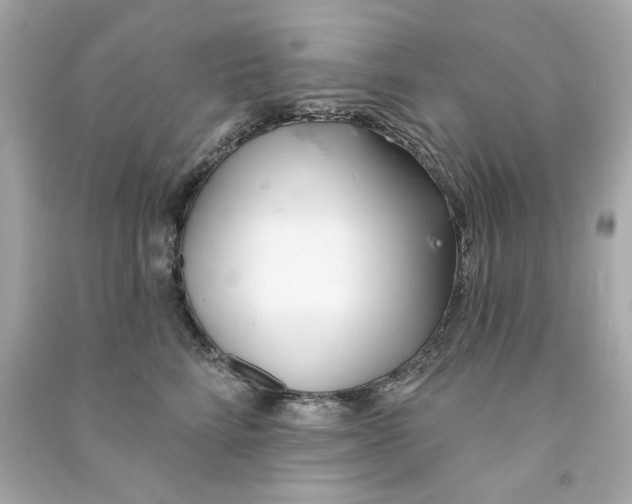 X0000090500712200708102241