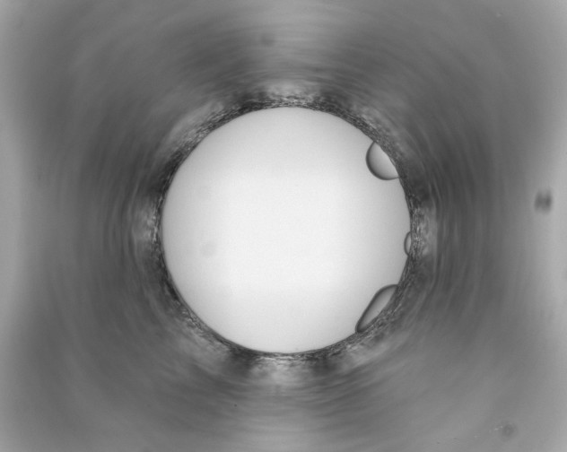 X0000090500713200708102241