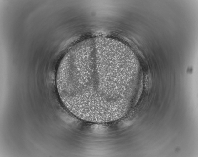 X0000090500714200708102241