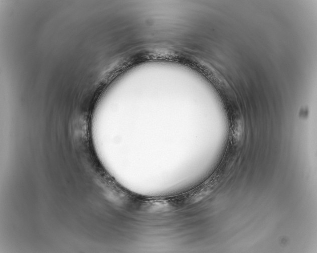 X0000090500715200708102241