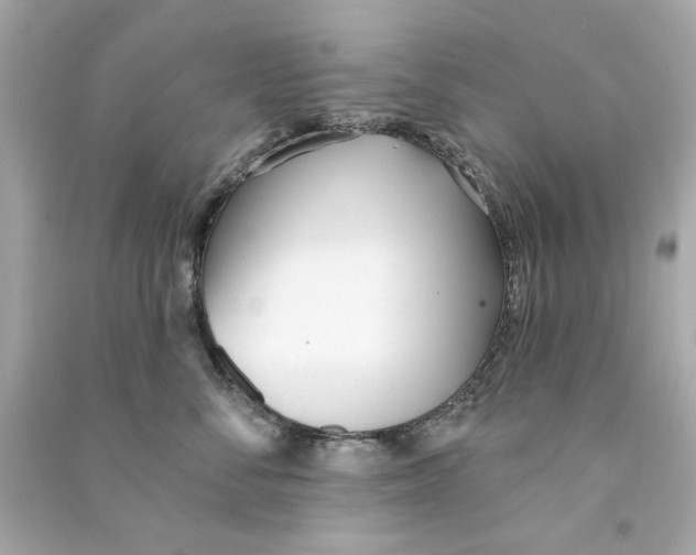 X0000090500716200708102241