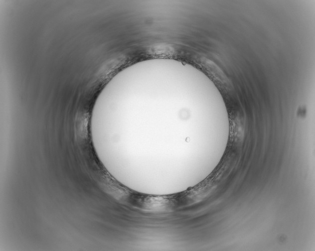 X0000090500717200708102241