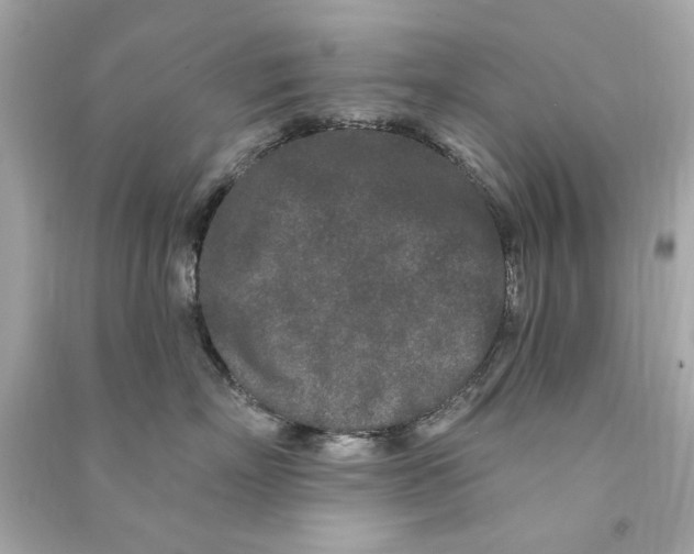 X0000090500718200708102241