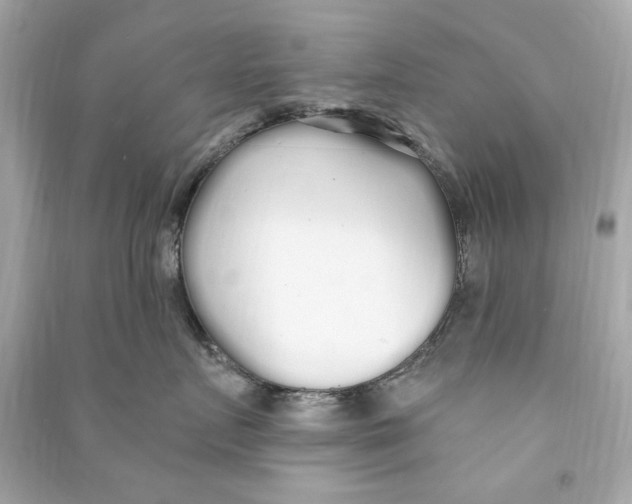 X0000090500719200708102241
