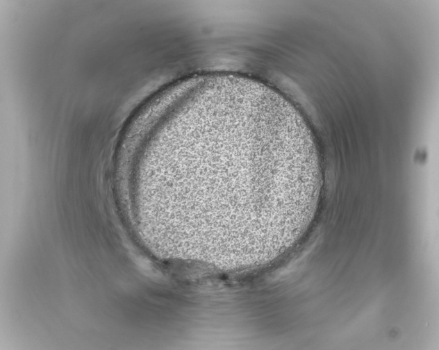 X0000090500721200708102240