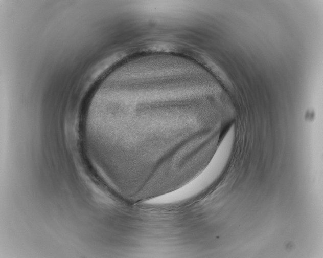 X0000090500722200708102240
