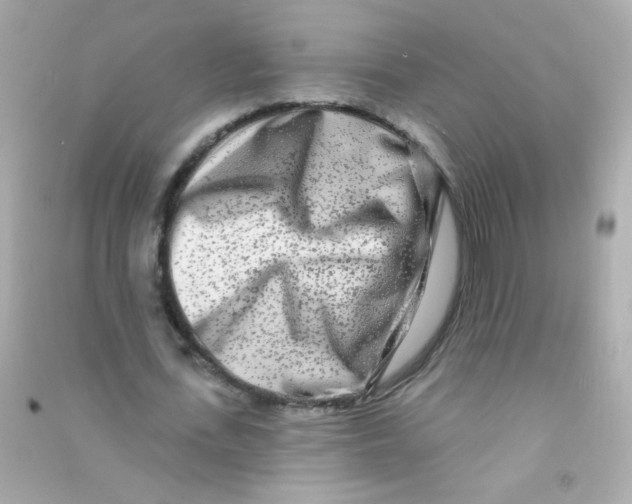 X0000090500723200708102240