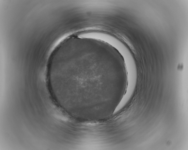 X0000090500724200708102240