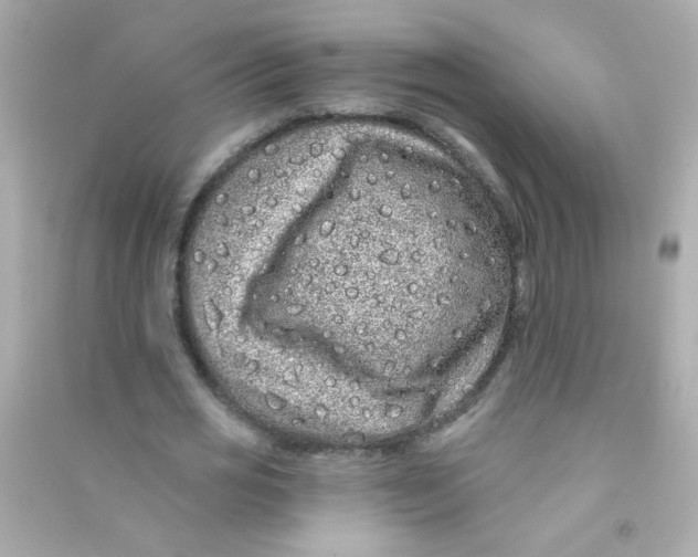 X0000090500725200708102240