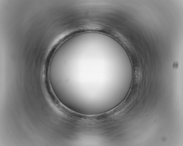 X0000090500726200708102240