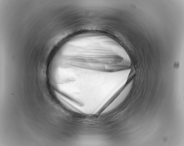 X0000090500727200708102240
