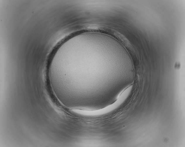 X0000090500728200708102240