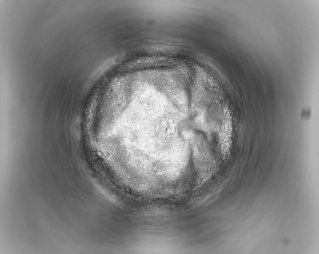 X0000090500729200708102240