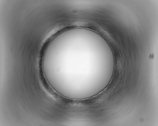 X0000090500730200708102240