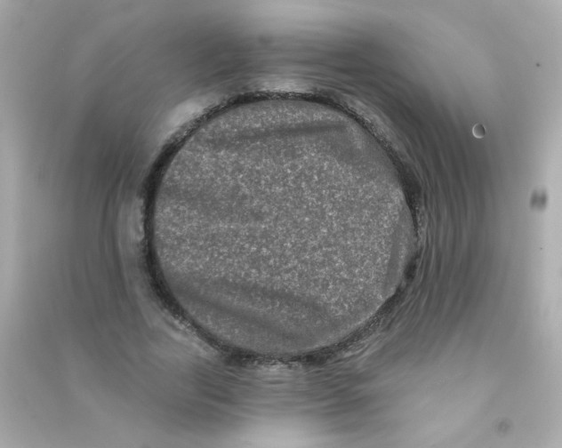 X0000090500731200708102240