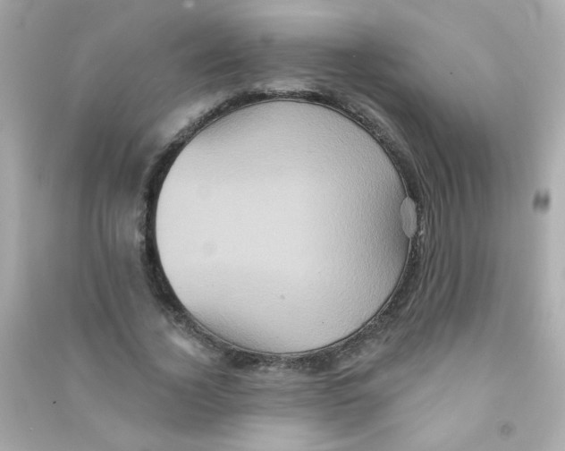 X0000090500732200708102240