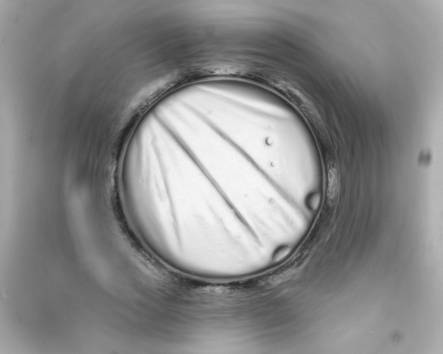 X0000090500733200708102240