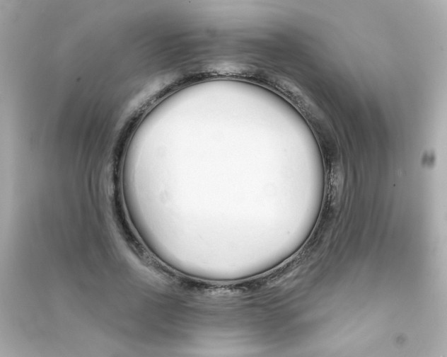 X0000090500734200708102240
