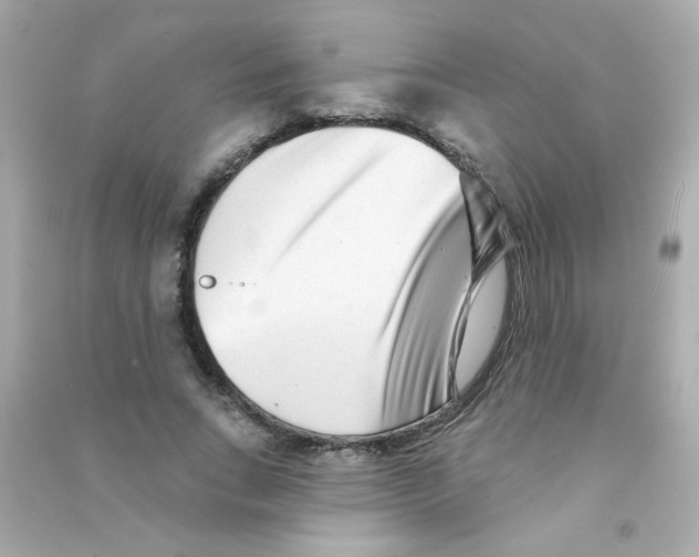 X0000090500735200708102240
