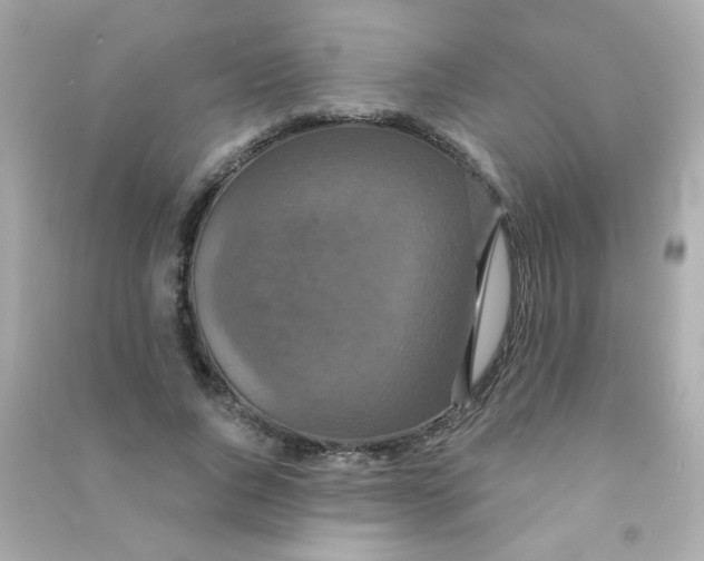 X0000090500736200708102240