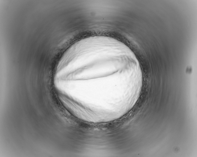 X0000090500737200708102240