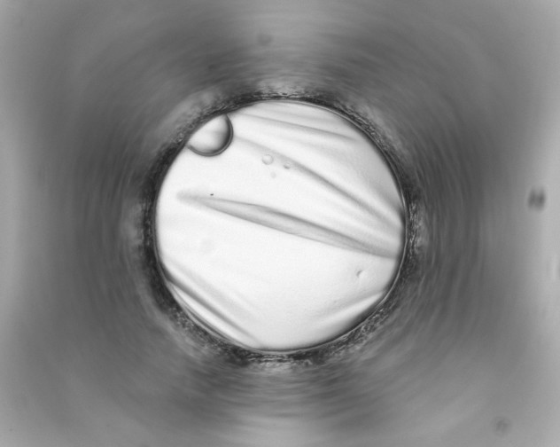 X0000090500738200708102240