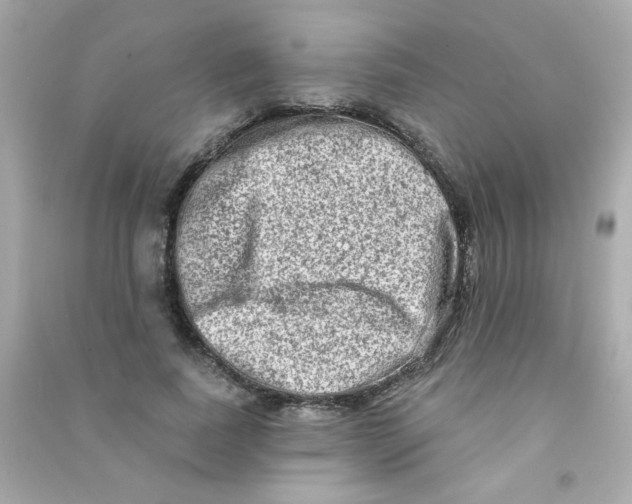 X0000090500739200708102240