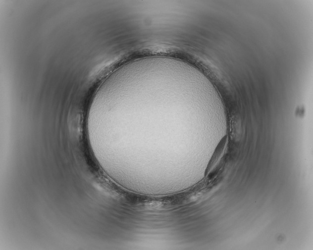 X0000090500740200708102240