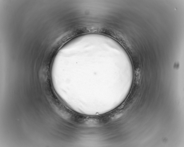 X0000090500741200708102240