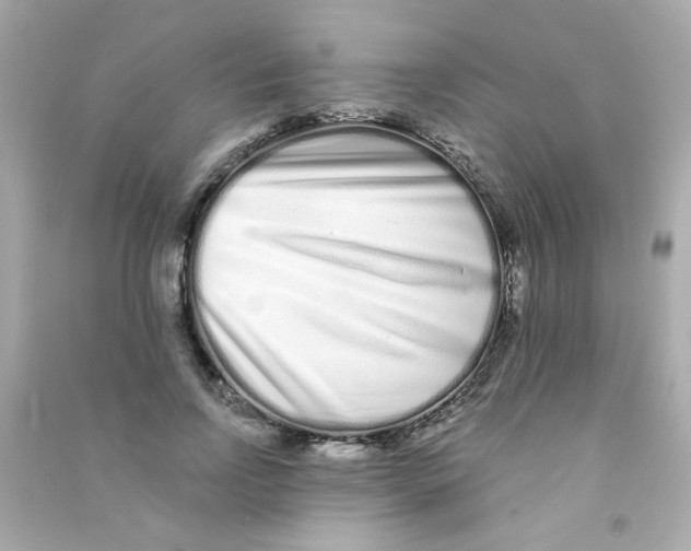 X0000090500742200708102240