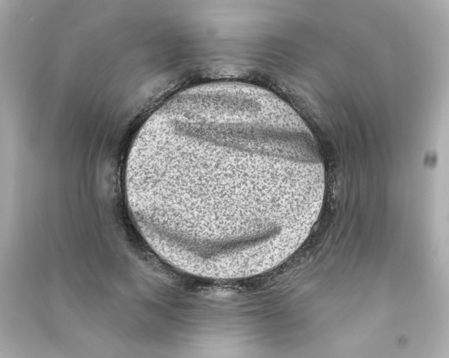 X0000090500743200708102240