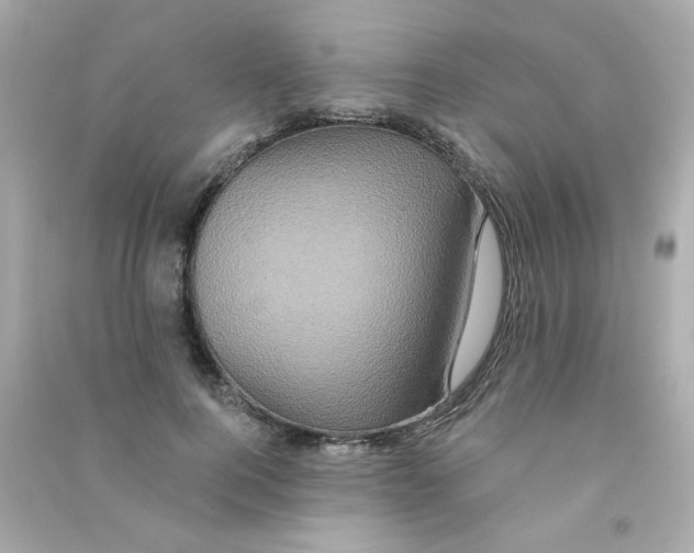 X0000090500744200708102240