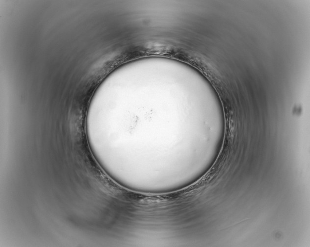 X0000090500745200708102240