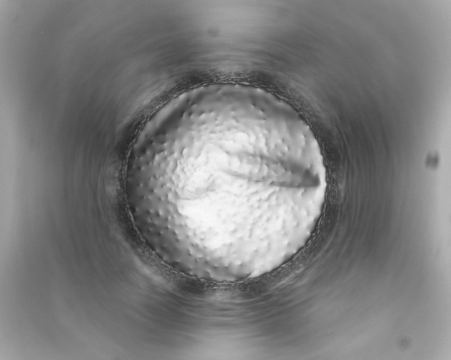 X0000090500746200708102240