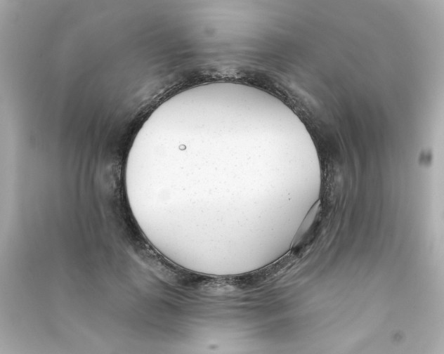 X0000090500747200708102240