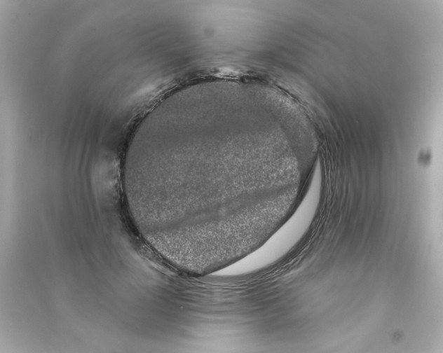 X0000090500748200708102240