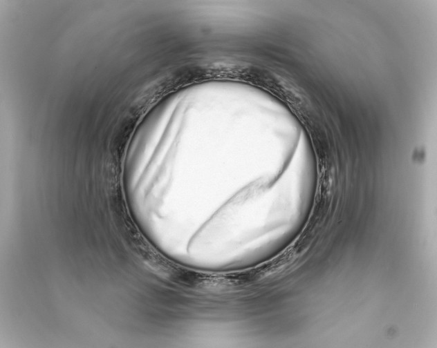 X0000090500749200708102240