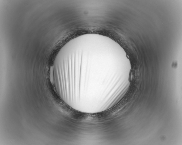 X0000090500750200708102240