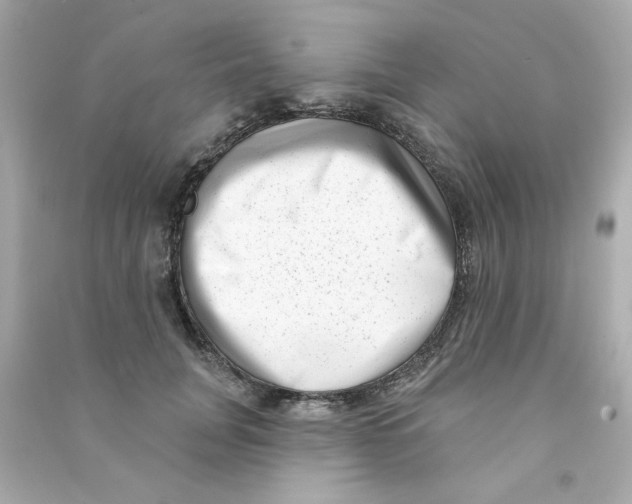 X0000090500751200708102240