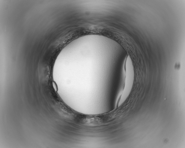 X0000090500752200708102240